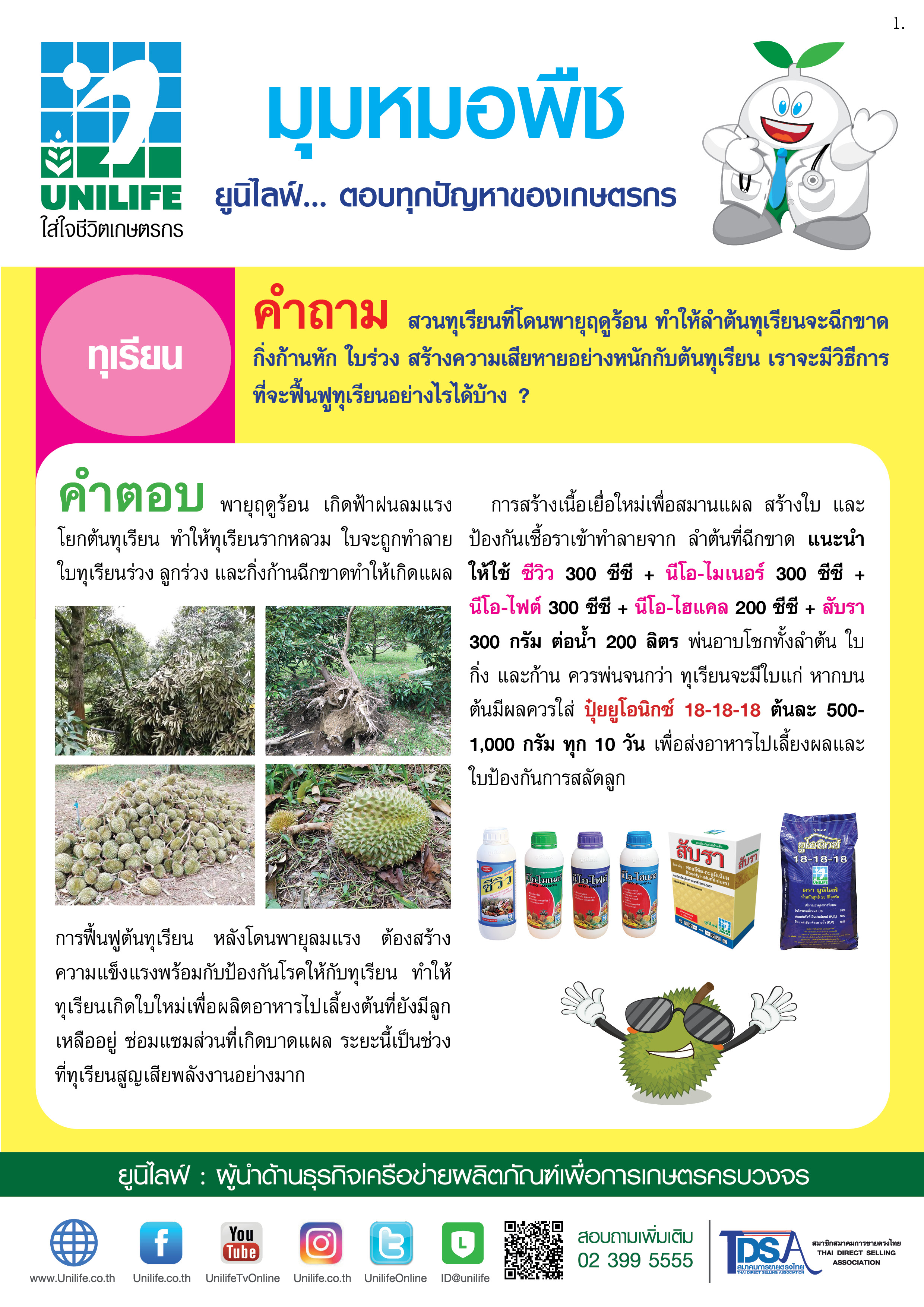 001-ฟื้นต้นทุเรียนหลังโดนพายุ