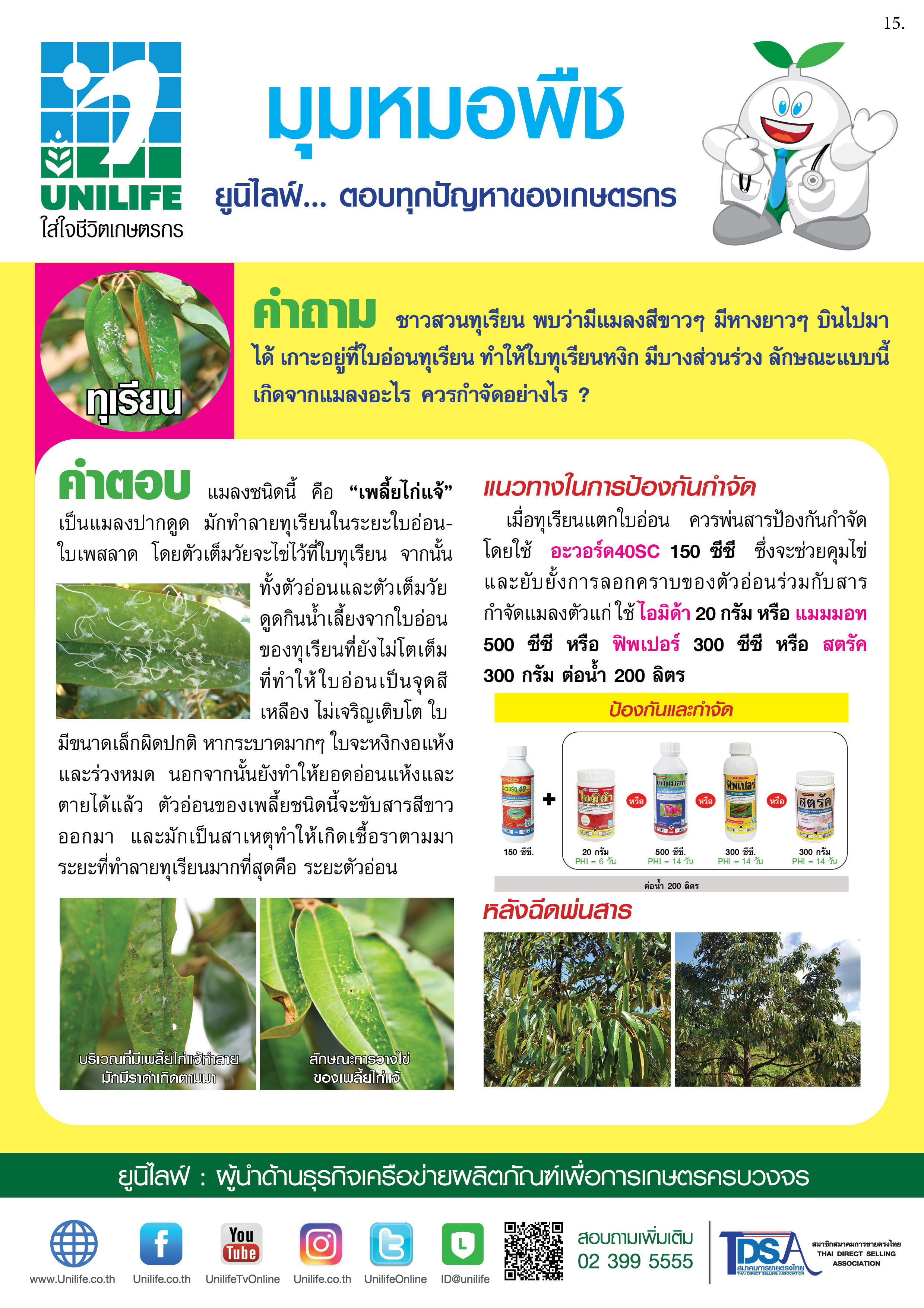 015-เพลี้ยไก่แจ้ทุเรียน