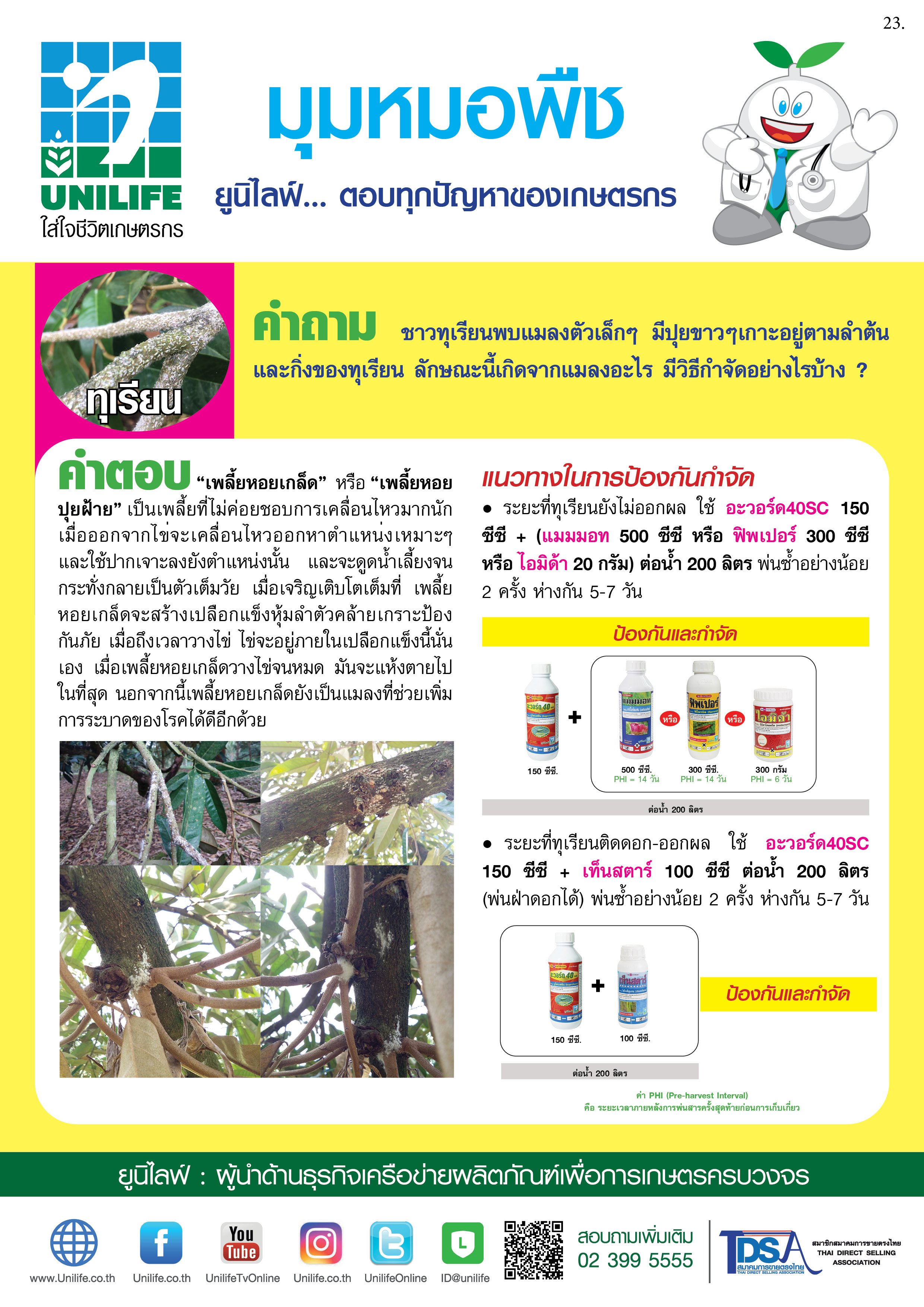 024-เพลี้ยหอยเกล็ดในทุเรียน