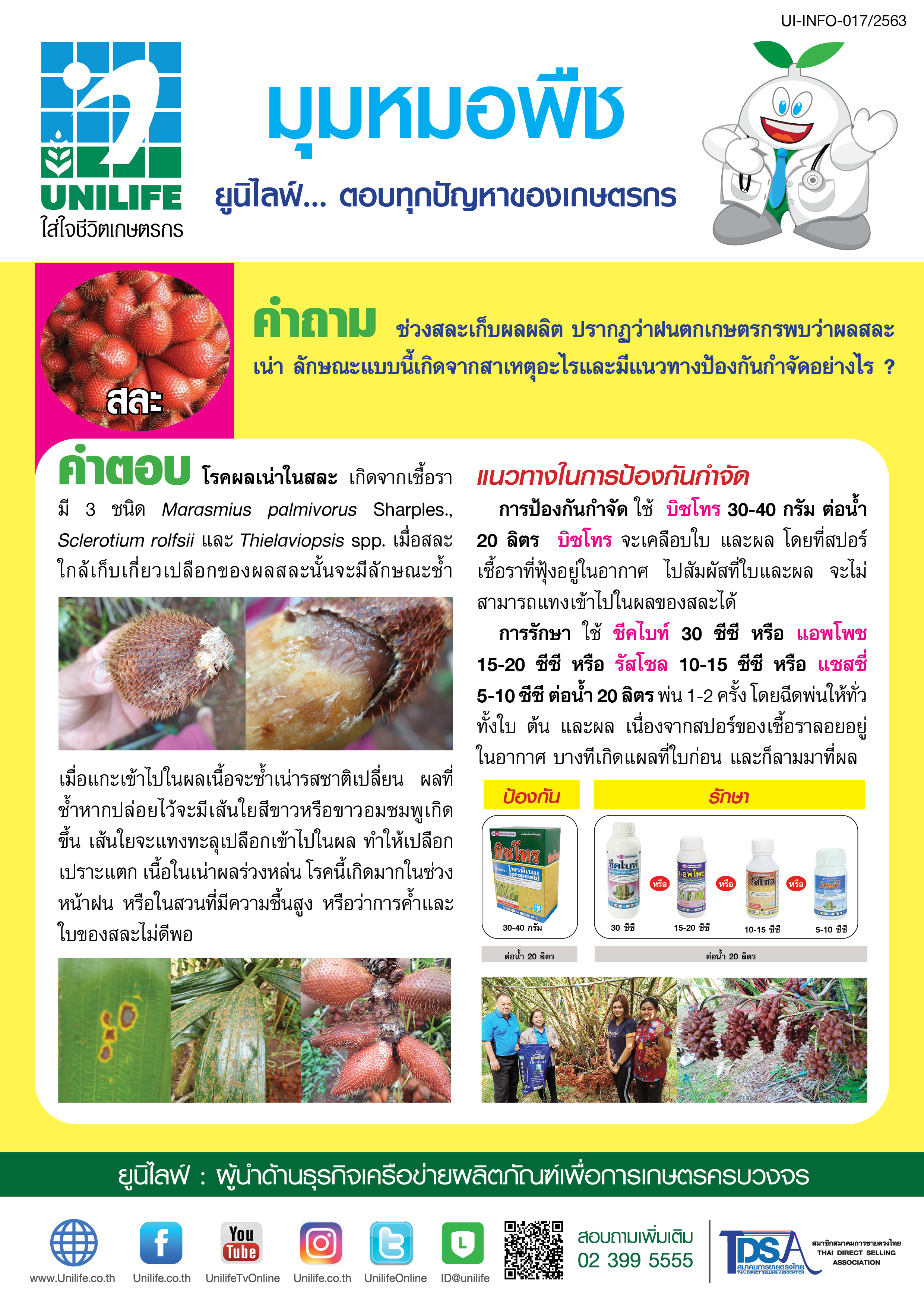 029-โรคผลเน่าของสละ