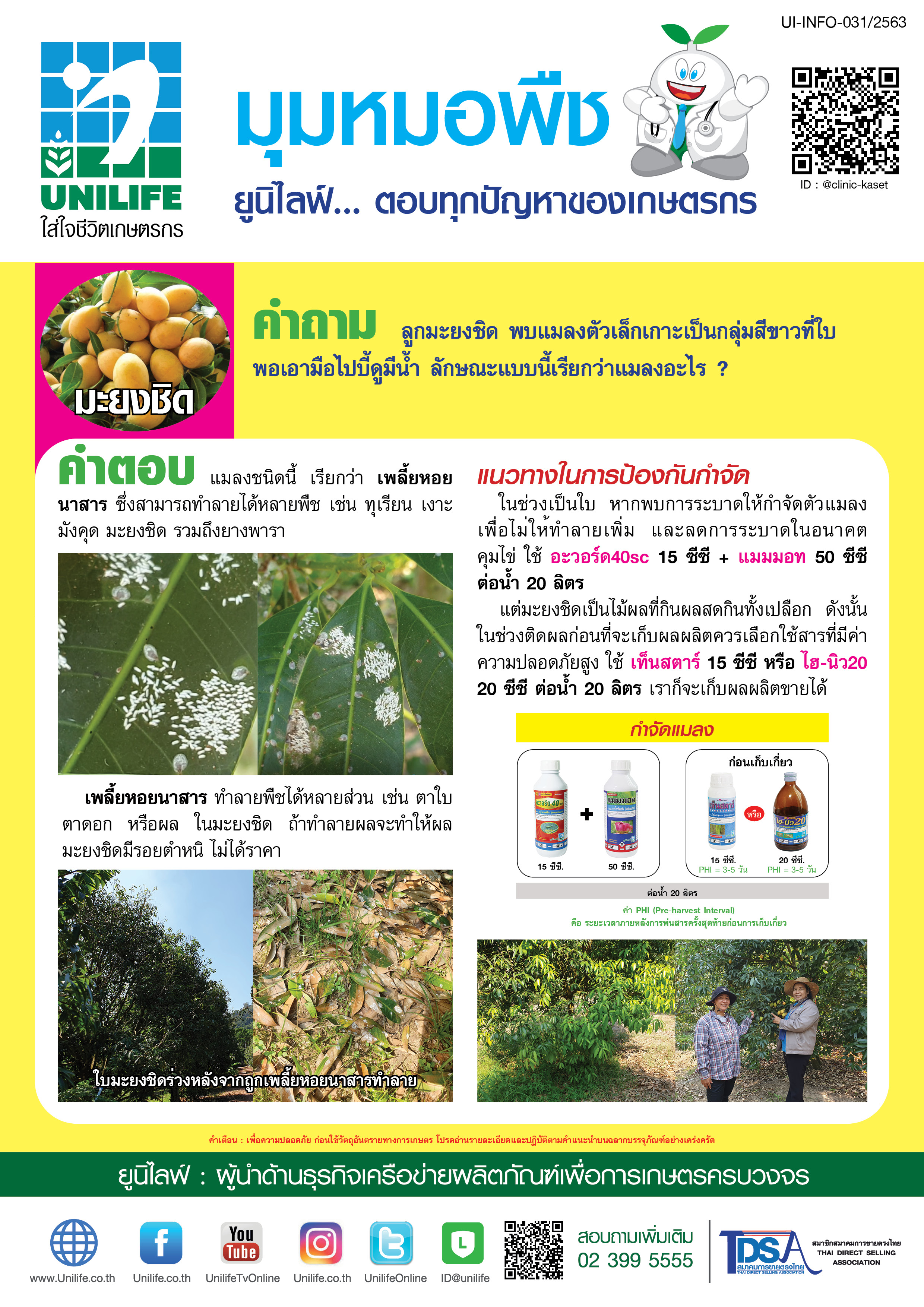 032-เพลี้ยหอยเกร็ดต้นทุเรียน