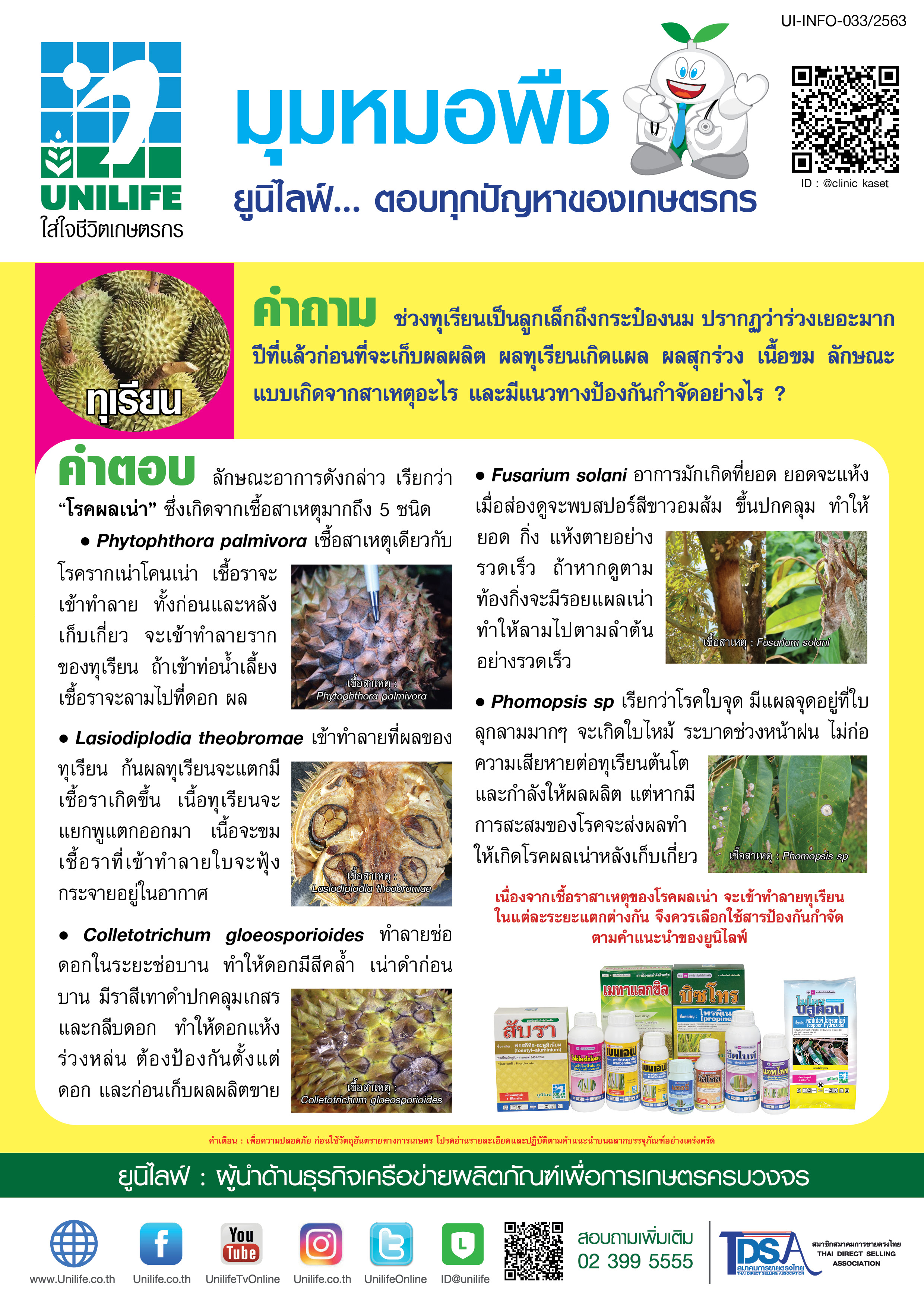 034-โรคผลเน่าของทุเรียน