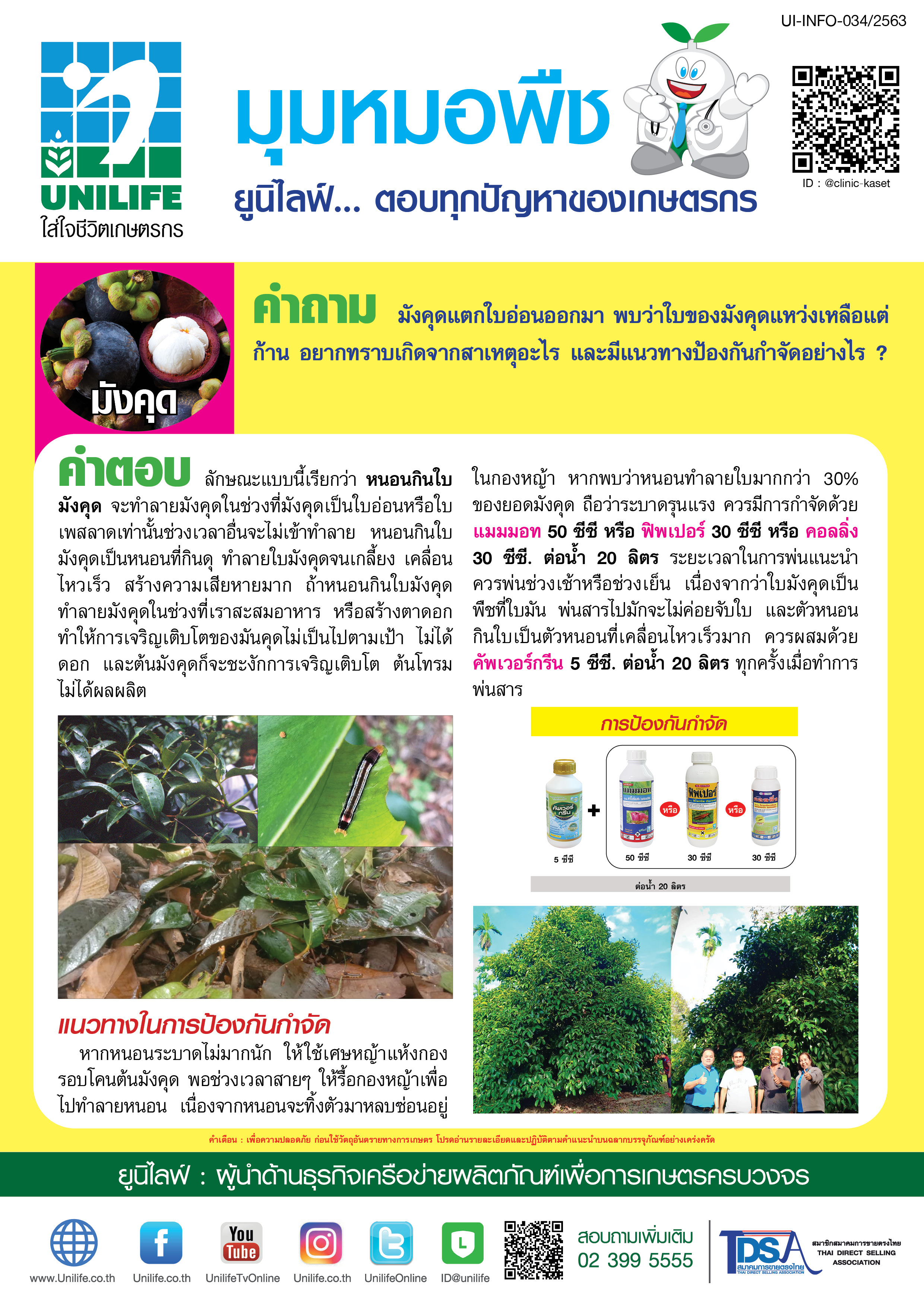 035-หนอนกินใบมังคุด