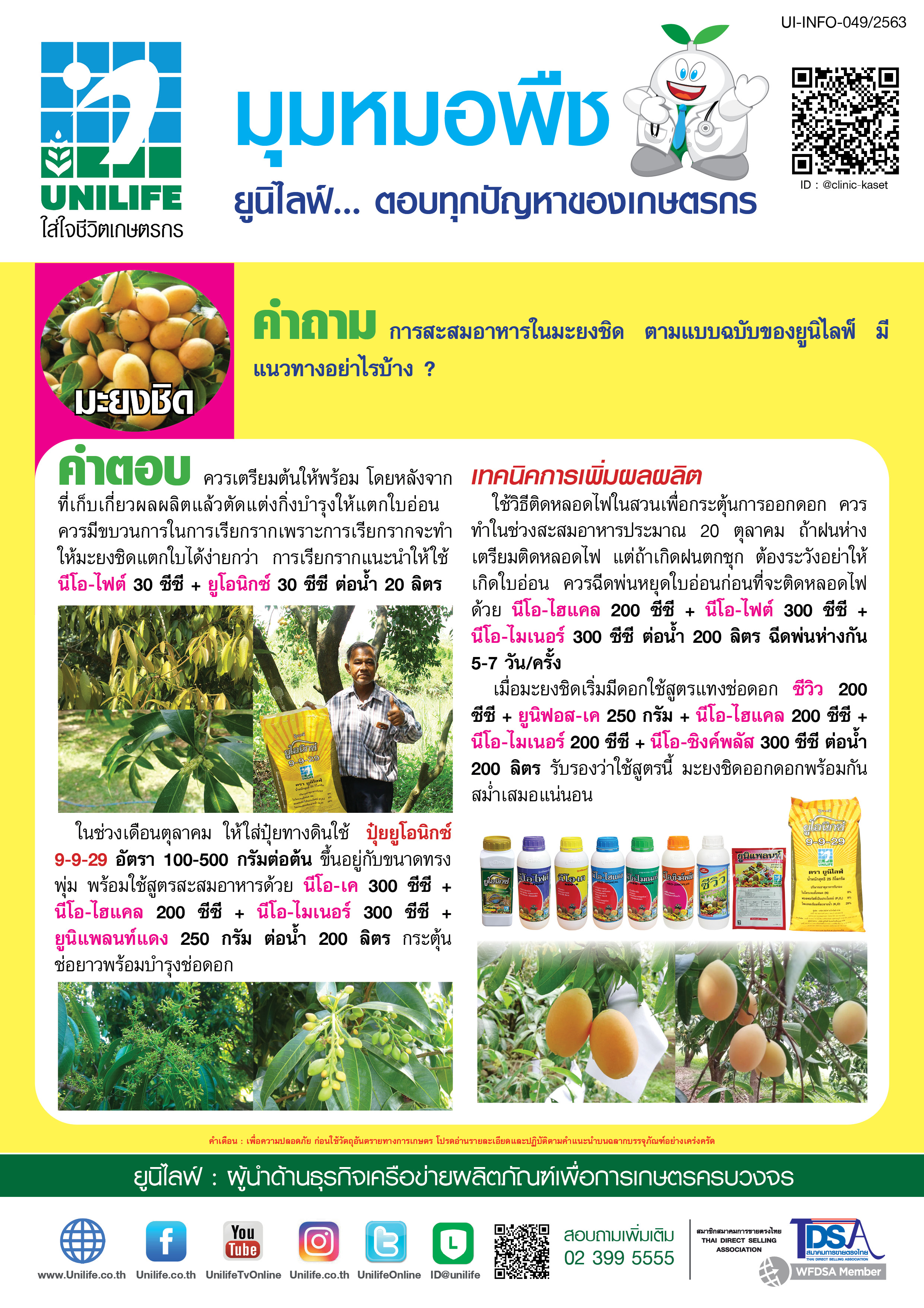 037-การสะสมอาหารมะยงชิด